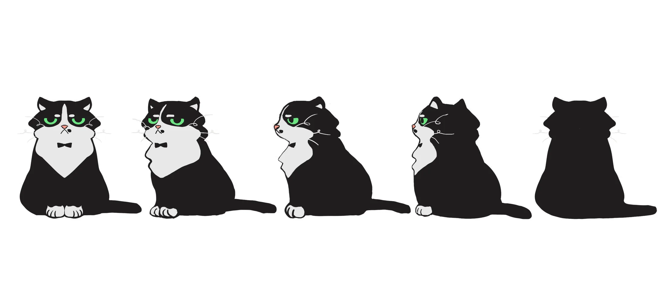 Rotation of Heater, a black and white cat