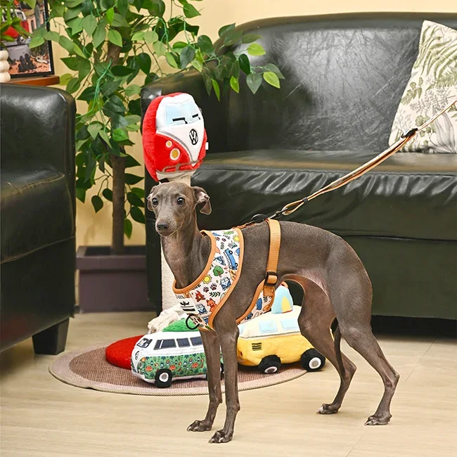 Italian greyhound in a VW print harness and leash beside plush VW bus toys