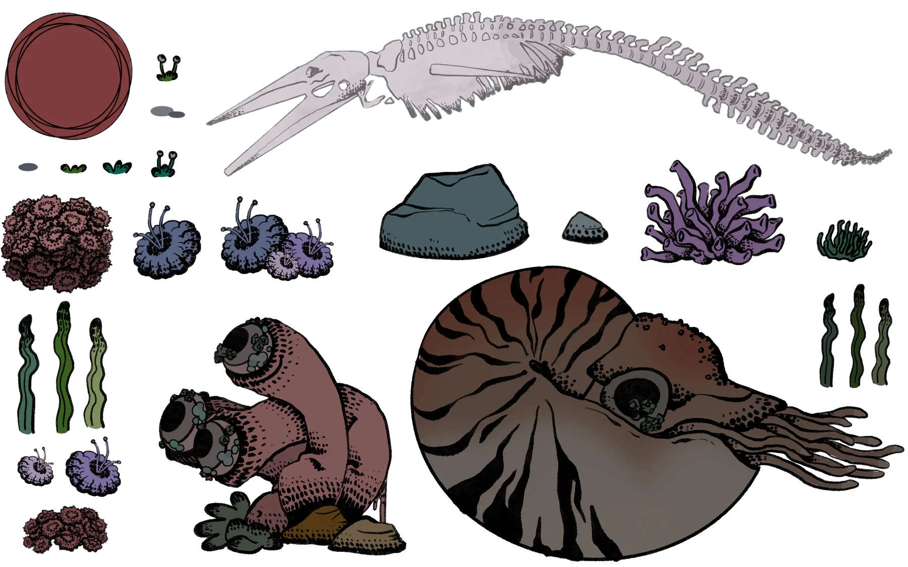 Underwater set pieces: whale skeleton, nautilus, corals and rocks
